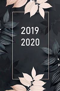 2019-2020