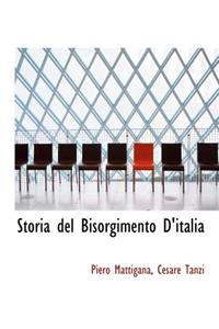 Storia del Bisorgimento D'Italia
