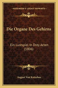Die Organe Des Gehirns