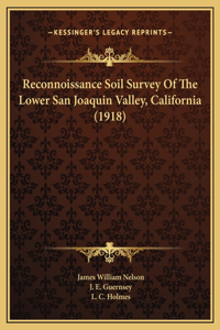 Reconnoissance Soil Survey Of The Lower San Joaquin Valley, California (1918)