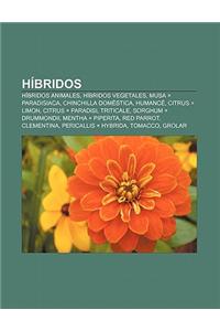 Hibridos: Hibridos Animales, Hibridos Vegetales, Musa X Paradisiaca, Chinchilla Domestica, Humance, Citrus X Limon, Citrus X Par