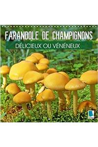 Farandole de Champignons - Delicieux ou Veneneux 2017