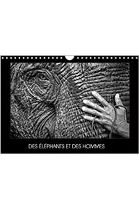 Des Elephants Et Des Hommes 2018
