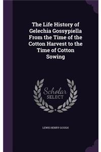 Life History of Gelechia Gossypiella From the Time of the Cotton Harvest to the Time of Cotton Sowing