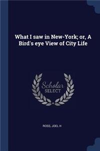 What I Saw in New-York; Or, a Bird's Eye View of City Life