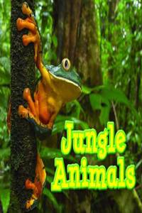 Jungle Animals