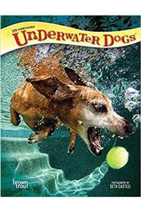Underwater Dogs 2018 Diary