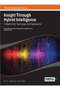 Insight Through Hybrid Intelligence