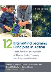 12 Brain/Mind Learning Principles in Action