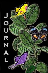 Journal