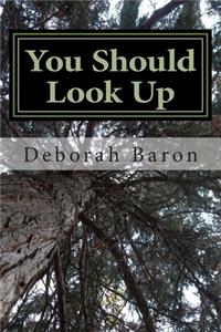You Should Look Up