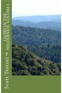 Glory In The Wilderness, Volume 1