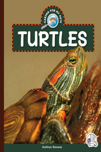 Turtles