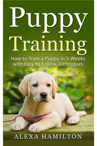 Puppy Training