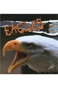 Eagles