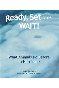 Ready, Set . . . Wait! What Animals Do Before a Hurricane