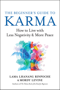 Beginner's Guide to Karma