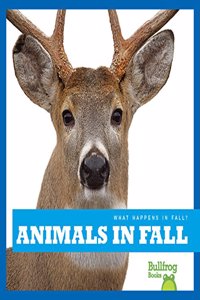 Animals in Fall