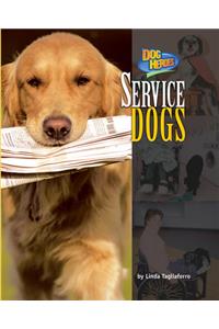 Service Dogs