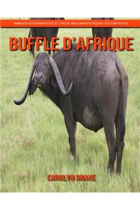 Buffle d'Afrique