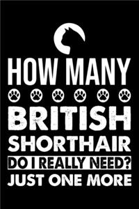 How Many British Shorthair Do I Really Need? Just One More
