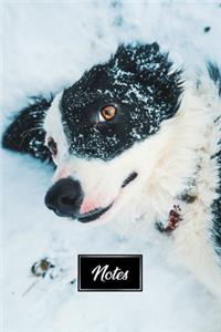 Border Collie Dog Pup Puppy Doggie Notebook Bullet Journal Diary Composition Book Notepad - Lie in the Snow