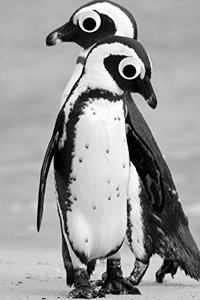 Googly Eye Penguins Journal