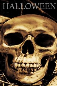 Halloween, Skull Notebook, Memory Book to Write or Draw , 6x9, 100 Beautiful Pages, Notes, Journal, Memory Book