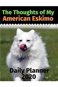 The Thoughts of My American Eskimo
