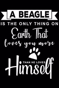 A Beagle is the only thing on earth that loves you more