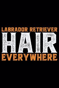 Labrador Retriever Hair Everywhere