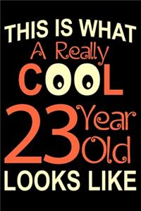 A Really Cool 23 Year Old