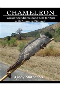 Chameleon: Fascinating Chameleon Facts for Kids with Stunning Pictures!