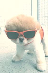 Cool Dog Journal