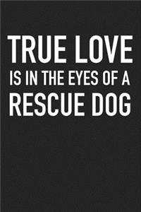 True Love Is in the Eyes of a Rescue Dog