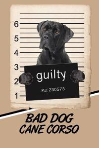 Bad Dog Cane Corso