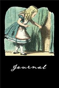 Journal