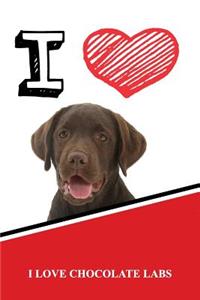 I Love Chocolate Labs