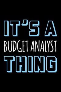 It's a Budget Analyst Thing