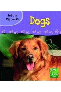 Pets in My House: Dog