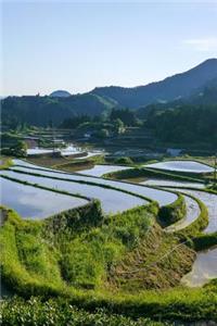 Flooded Rice Terraces in Japan Journal