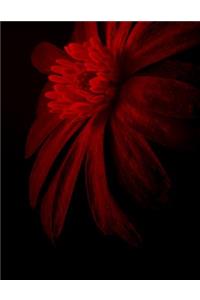 Flower Notebook