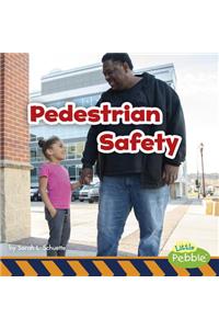 Pedestrian Safety