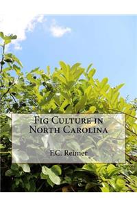 Fig Culture in North Carolina