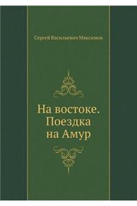 На востоке. Поездка на Амур