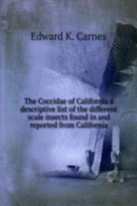 Coccidae of California a descriptive list of the different scale insects found in and reported from California