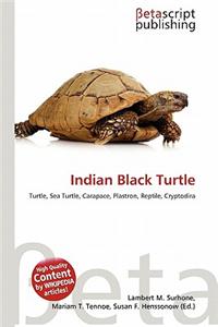 Indian Black Turtle