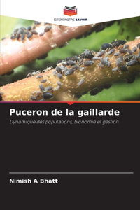 Puceron de la gaillarde