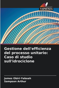 Gestione dell'efficienza del processo unitario
