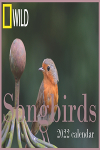 Songbirds calendar 2022
